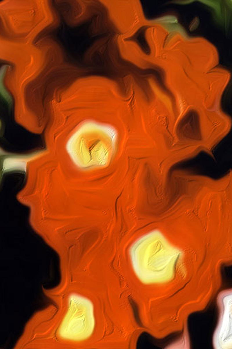 Impressionistic Flower 13