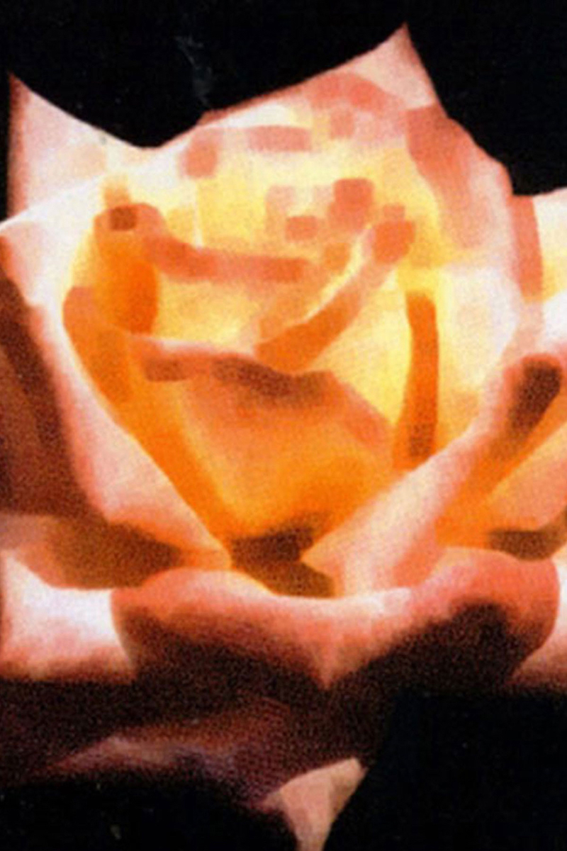 Impressionistic Flower 8