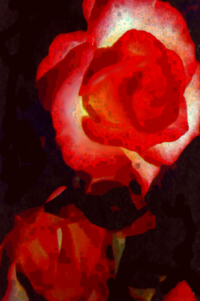 Imoressionistic Flower 12