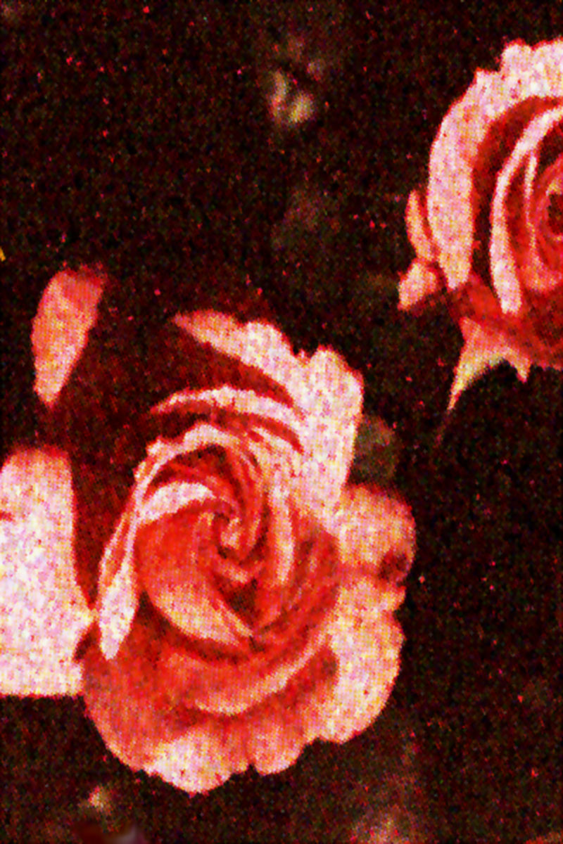 Impressionistic Flower 13