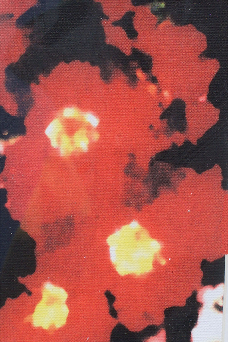 Impressionistic Flower 1