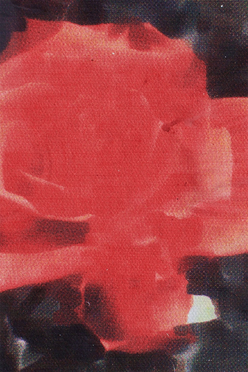 Impressionistic Flower 4