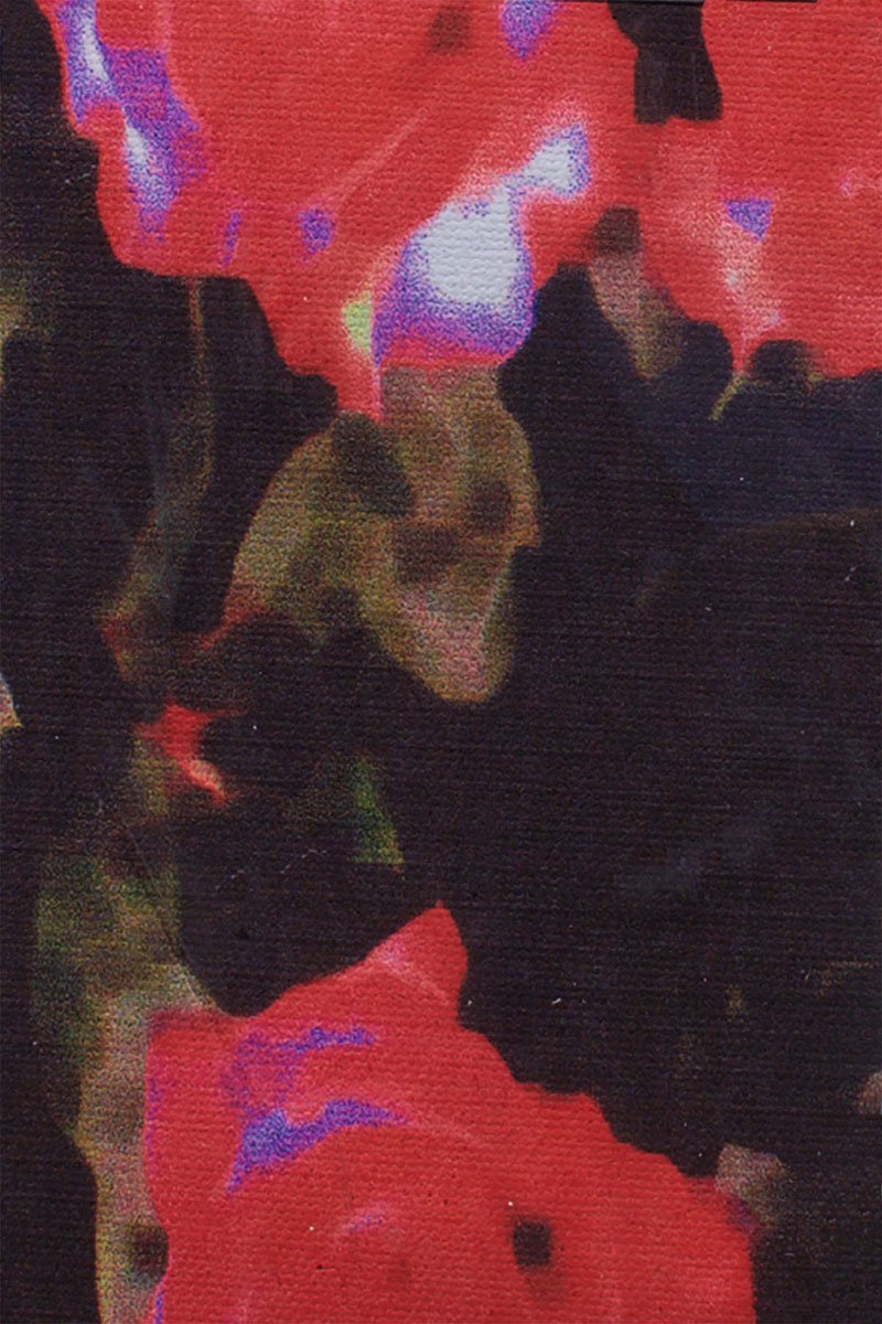 Impressionistic Flower 6
