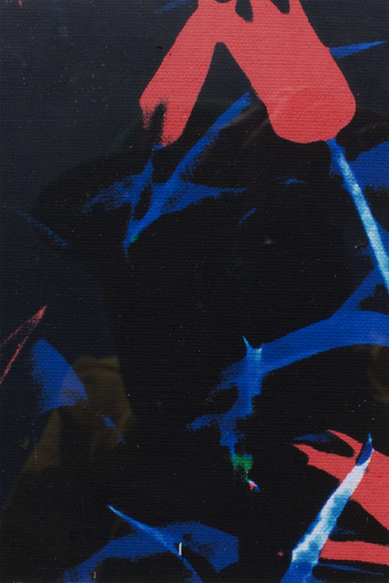 Impressionistic Flower 8