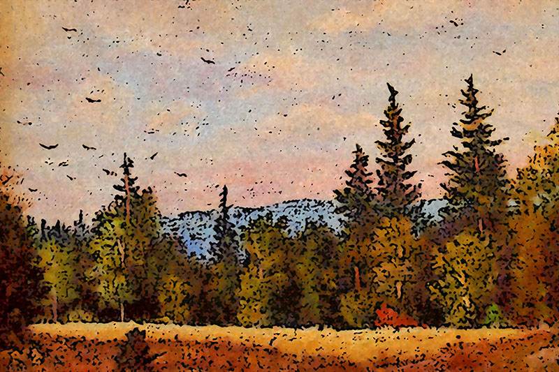 Impressionistic Landscape 8