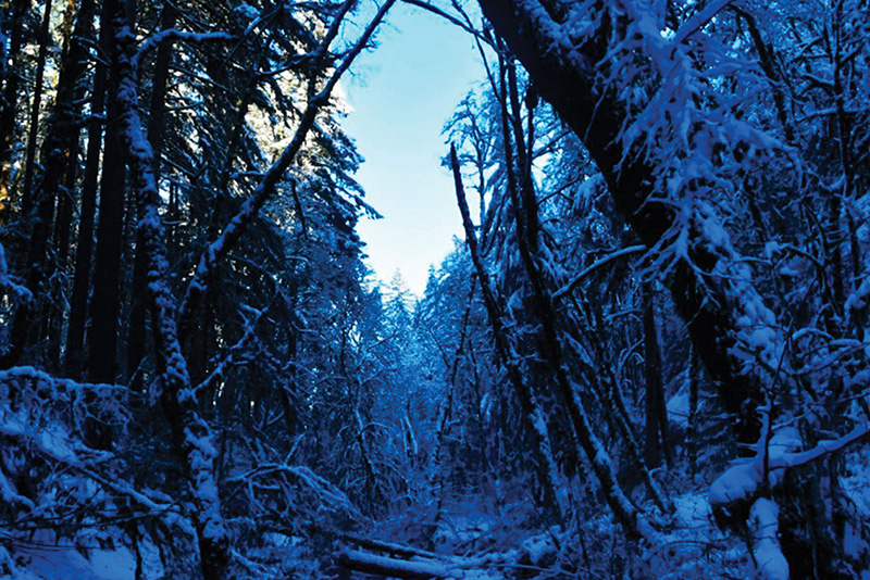 American Landscape Photograph 25