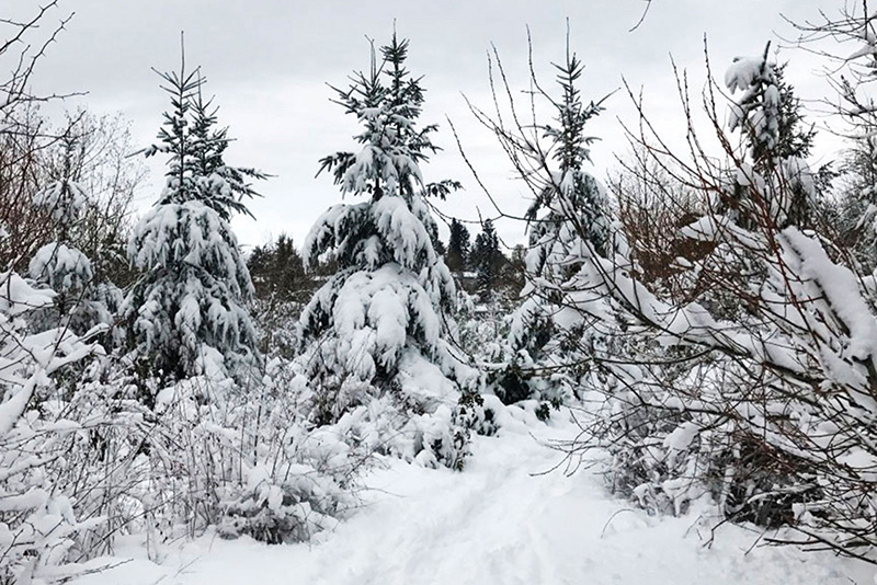 American Landscape Photograph 26