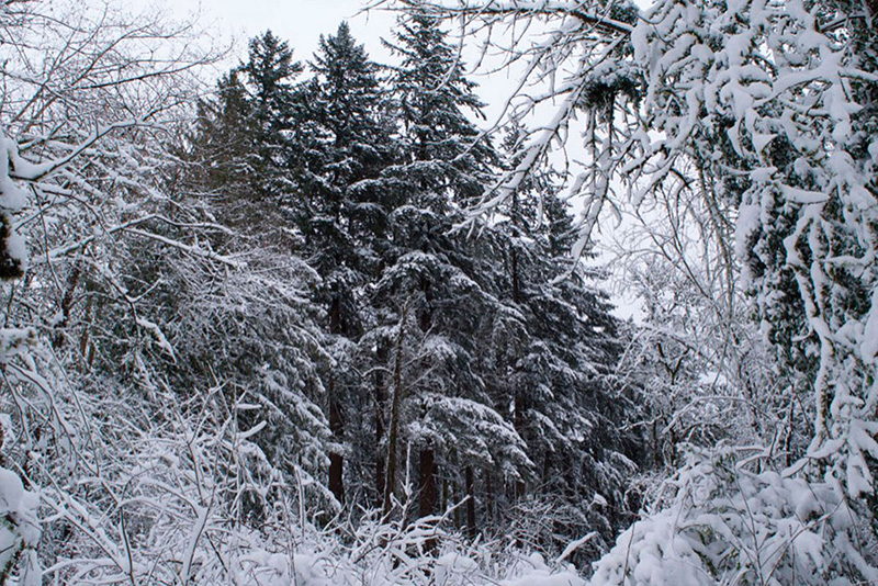 American Landscape Photograph 2