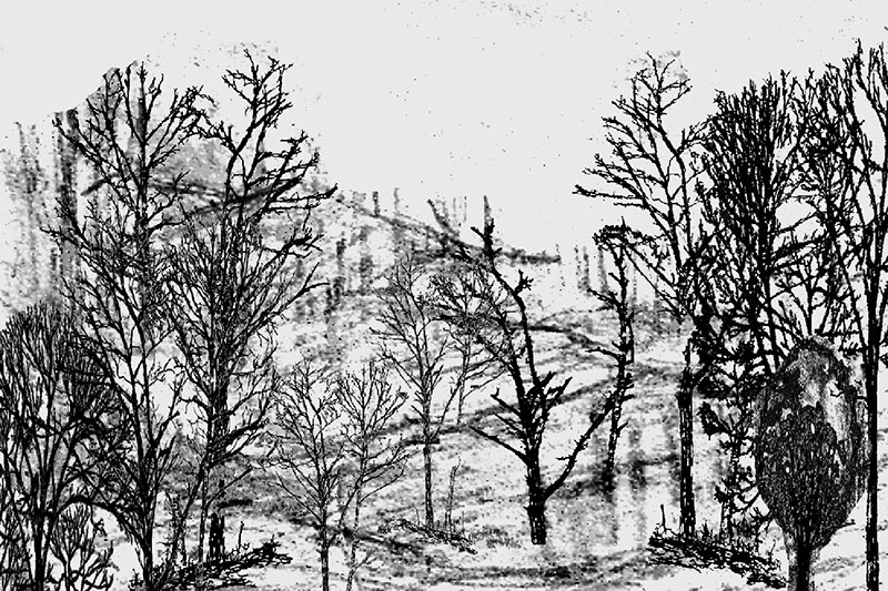 Sketch 12
