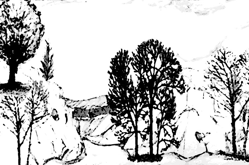 Sketch 19