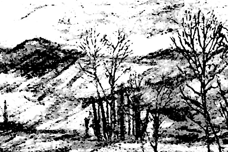 Sketch 20