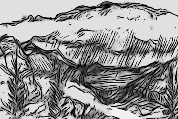 Sketch 2