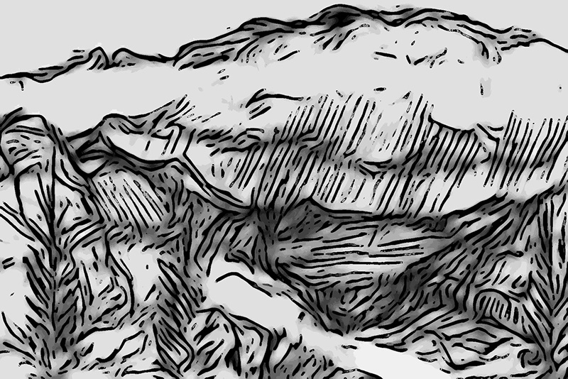 Sketch 7