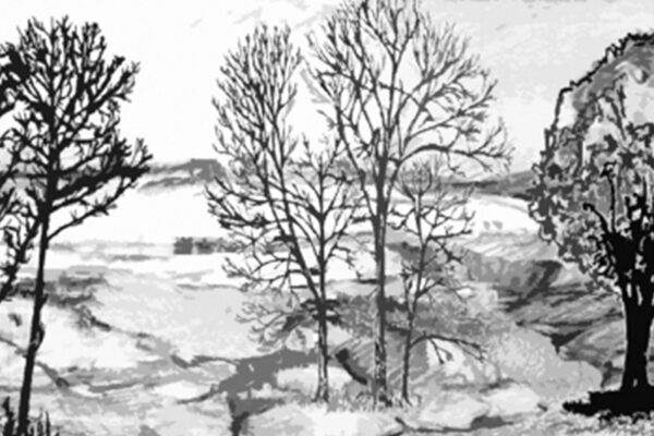 Sketch 9