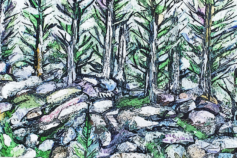 Watercolor 27