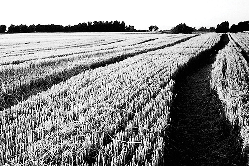 Western Landscape Photograph 13