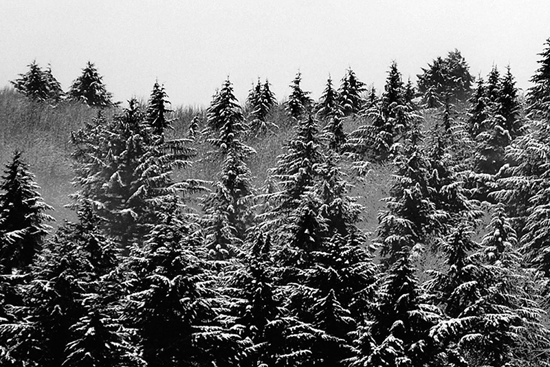 Western Landscape Photograph 23