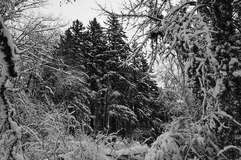 Western Landscape Photograph 26